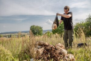 Pilzmyzel als Dünger