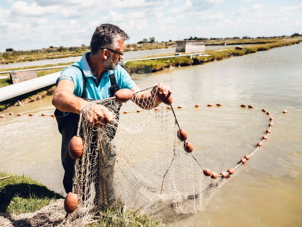 Fisch & Edelkrebszucht Jungwirth