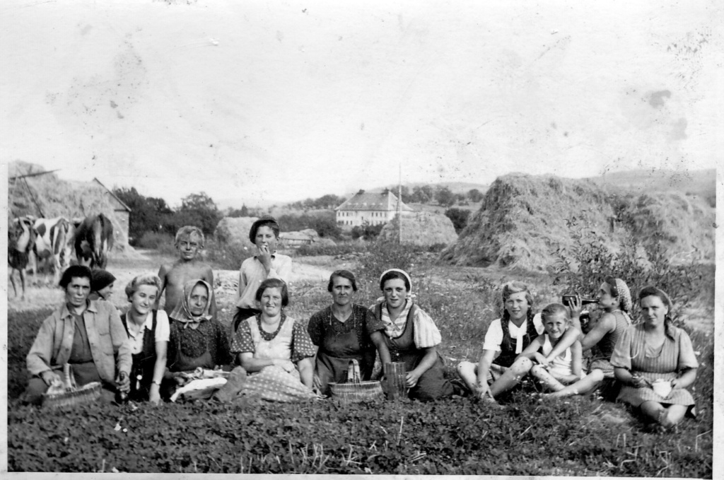 Frauen am Krautacker Loipersbach in den 1940ern Quelle Familie Grössing