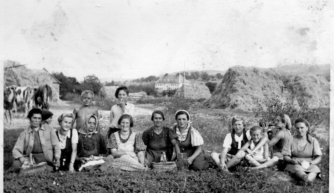 Frauen am Krautacker Loipersbach in den 1940ern Quelle Familie Grössing