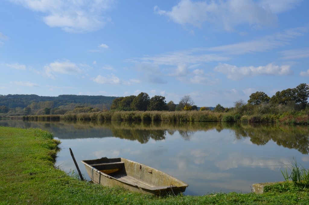 Fischteich Güssing