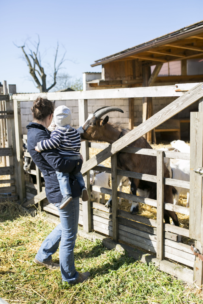 Slow Food Markt der Erde Parndorf