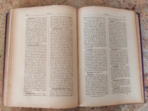 historisches Kochbuch aus Aloisias Backstube